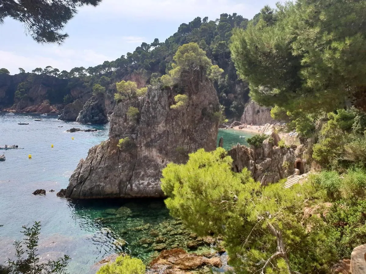 Luxury Villa In Front Of The Sea Rosita Calella De Palafrugell Spain